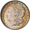 Lot 216 - Lot of Two Toned Battle Creek Morgans