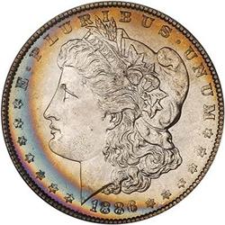 Lot 217 - Lot of Two Toned Battle Creek Morgans