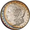 Lot 217 - Lot of Two Toned Battle Creek Morgans