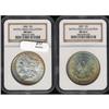 Image 3 : Lot 217 - Lot of Two Toned Battle Creek Morgans