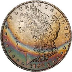 Lot 218 - Lot of Two Toned Battle Creek Morgans