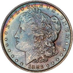 Lot 220 - Lot of Two Toned Battle Creek Morgans