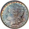 Lot 220 - Lot of Two Toned Battle Creek Morgans