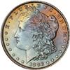 Lot 227 - Lot of Two Toned Battle Creek Morgans