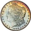 Lot 228 - Lot of Two Toned Battle Creek Morgans