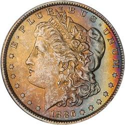 Lot 231 - Lot of Two Toned Battle Creek Morgans