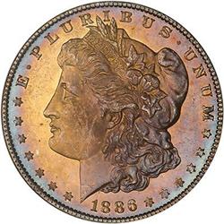 Lot 232 - Lot of Two Toned Battle Creek Morgans
