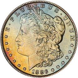 Lot 233 - Lot of Two Toned Battle Creek Morgans