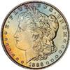 Lot 233 - Lot of Two Toned Battle Creek Morgans