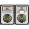 Image 3 : Lot 233 - Lot of Two Toned Battle Creek Morgans