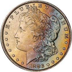 Lot 234 - Lot of Two Toned Battle Creek Morgans