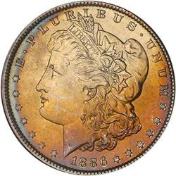 Lot 235 - Lot of Two Toned Battle Creek Morgans