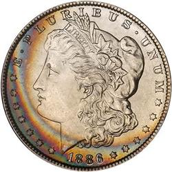 Lot 236 - Lot of Two Toned Battle Creek Morgans