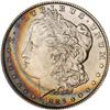 Lot 236 - Lot of Two Toned Battle Creek Morgans