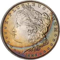 Lot 237 - Lot of Two Toned Battle Creek Morgans