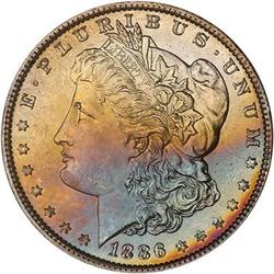 Lot 238 - Lot of Two Toned Battle Creek Morgans