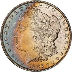 Lot 239 - Lot of Two Toned Battle Creek Morgans