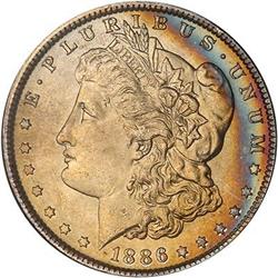 Lot 240 - Lot of Two Toned Battle Creek Morgans
