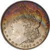 Lot 242 - 1887 Morgan Dollar PCGS MS 67