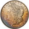 Image 1 : Lot 251 - 1887 Morgan Dollar NGC MS65