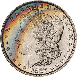 Lot 291 - Lot of Two Toned Battle Creek Morgans