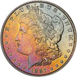 Lot 292 - Lot of Two Toned Battle Creek Morgans