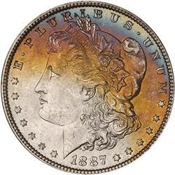 Lot 294 - Lot of Two Toned Battle Creek Morgans