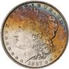 Lot 294 - Lot of Two Toned Battle Creek Morgans
