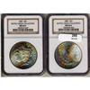 Image 3 : Lot 295 - Lot of Two Toned Battle Creek Morgans