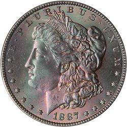 Lot 297 - Lot of Two Toned Battle Creek Morgans