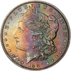 Lot 298 - Lot of Two Toned Battle Creek Morgans