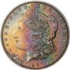 Lot 298 - Lot of Two Toned Battle Creek Morgans