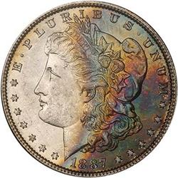 Lot 299 - Lot of Two Toned Battle Creek Morgans