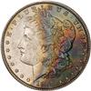 Lot 299 - Lot of Two Toned Battle Creek Morgans