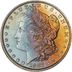 Lot 300 - Lot of Two Toned Battle Creek Morgans