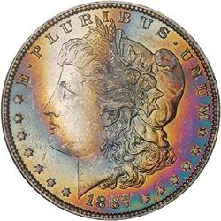 Lot 301 - Lot of Two Toned Battle Creek Morgans