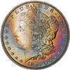 Lot 301 - Lot of Two Toned Battle Creek Morgans