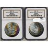Image 3 : Lot 301 - Lot of Two Toned Battle Creek Morgans