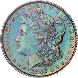 Lot 302 - Lot of Two Toned Battle Creek Morgans