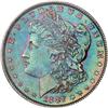 Lot 302 - Lot of Two Toned Battle Creek Morgans