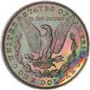 Image 2 : Lot 302 - Lot of Two Toned Battle Creek Morgans