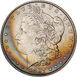 Lot 303 - Lot of Two Toned Battle Creek Morgans