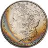 Lot 303 - Lot of Two Toned Battle Creek Morgans