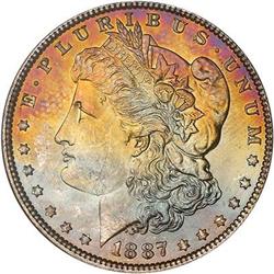 Lot 304 - Lot of Two Toned Battle Creek Morgans