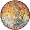 Lot 304 - Lot of Two Toned Battle Creek Morgans