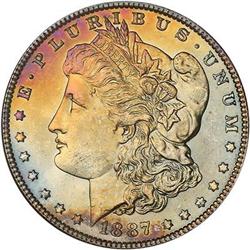 Lot 305 - Lot of Two Toned Battle Creek Morgans
