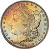 Lot 305 - Lot of Two Toned Battle Creek Morgans