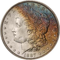 Lot 306 - Lot of Two Toned Battle Creek Morgans