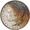 Lot 306 - Lot of Two Toned Battle Creek Morgans