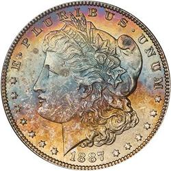 Lot 307 - Lot of Two Toned Battle Creek Morgans